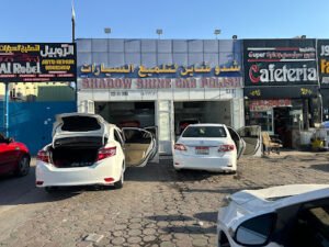 Shadow Shine car polish