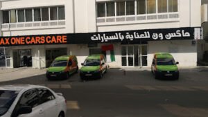 MAX ONE Polish (car care)